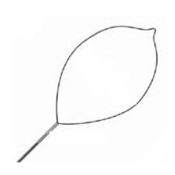 Snare Polypectomy Soft Loop Wire Oval 16mm Small 10/Ca